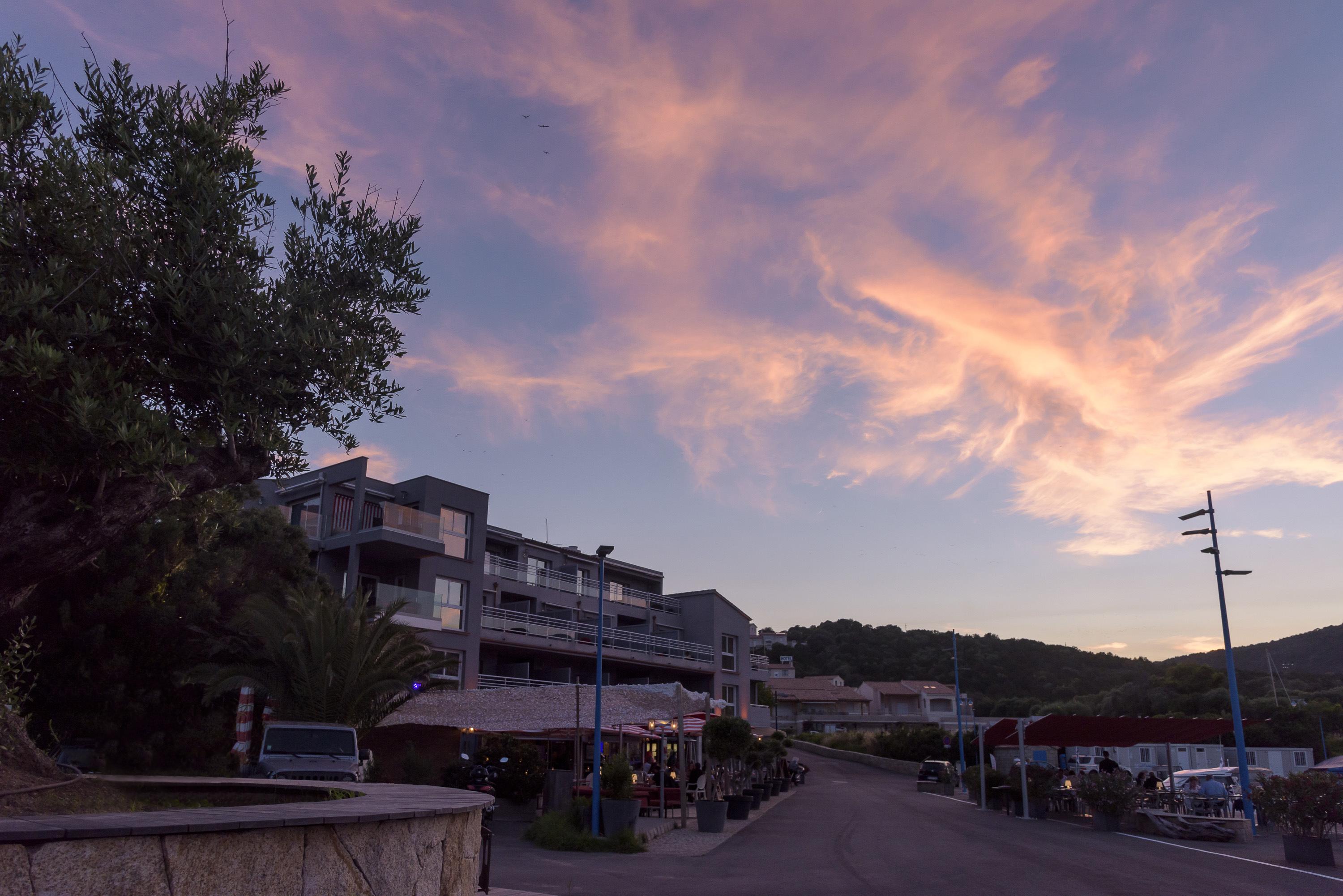 Le Golfe Hotel Porto Pollo Ngoại thất bức ảnh